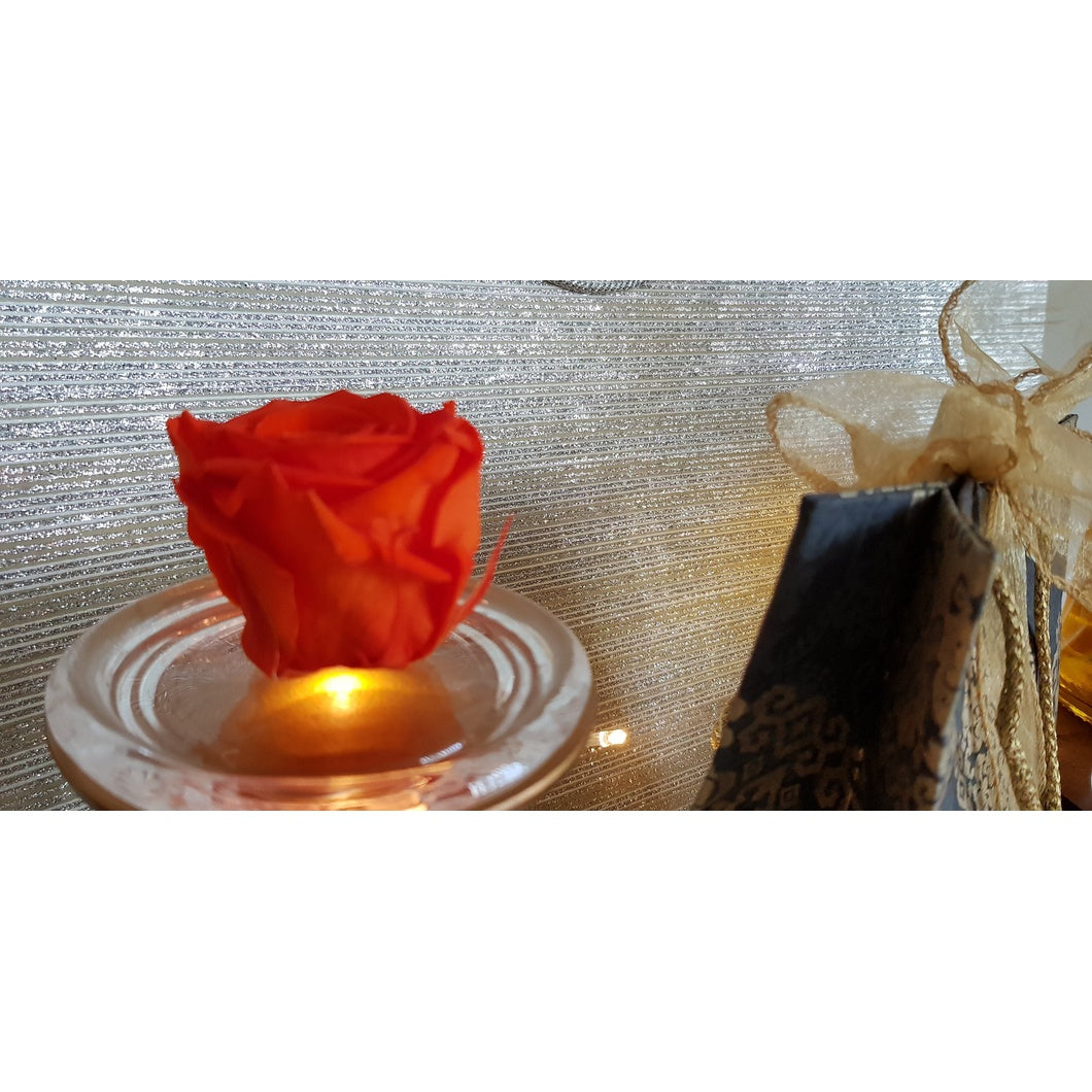 MBOS London Dark Orange Preserved Rose Presented In a Glass Dome