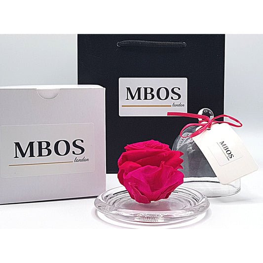 MBOS London Fuchsia Pink Preserved Rose Presented in a Glass Dome