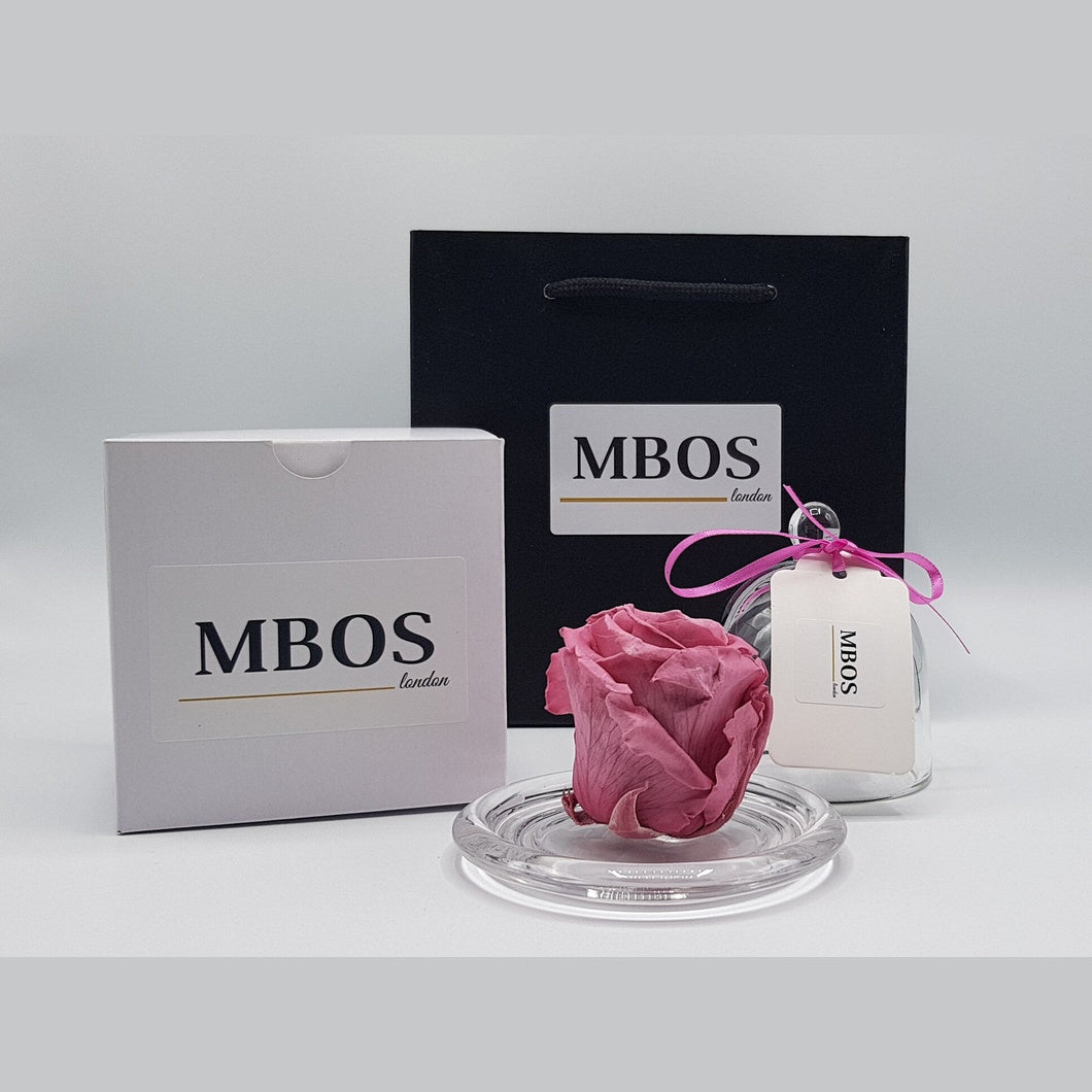 MBOS London Blush Pink Preserved Rose in a Glass Dome