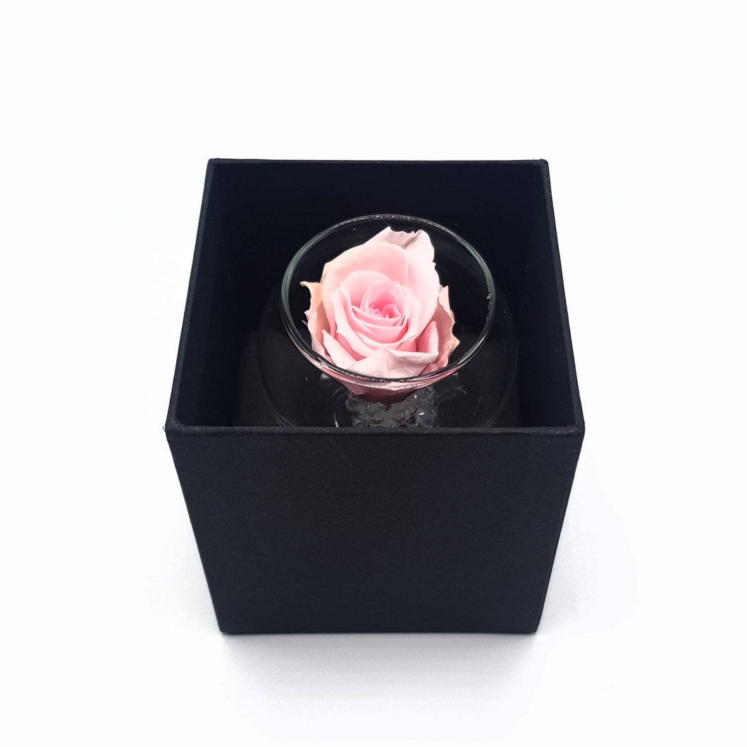 MBOS London Mini Preserved Rose In a Glass Tealight Holder - Various Colours