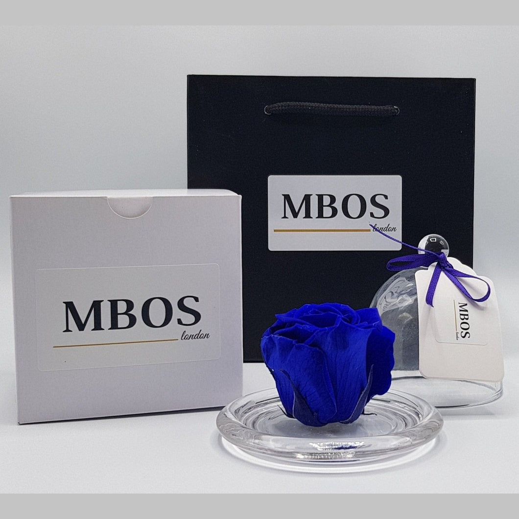 MBOS London Indigo Blue Preserved Rose Presented in a Glass Dome