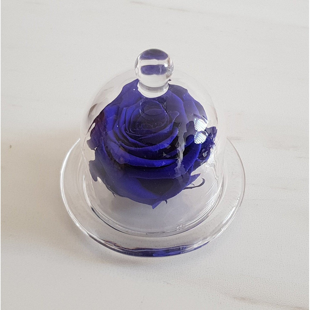 MBOS London Indigo Blue Preserved Rose Presented in a Glass Dome