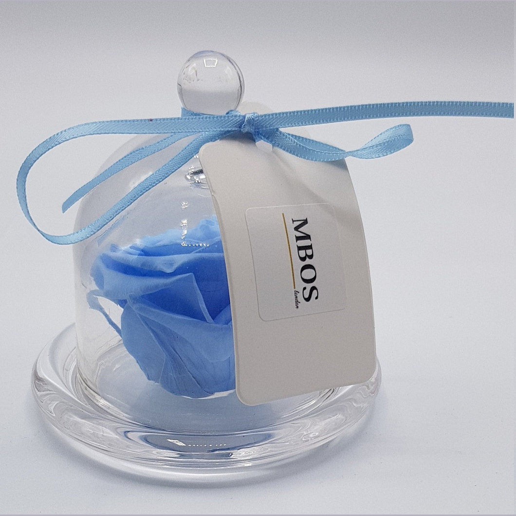 MBOS London Baby Blue Preserved Rose Presented in a Glass Dome