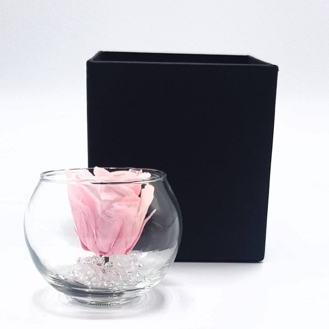 MBOS London Mini Preserved Rose In a Glass Tealight Holder - Various Colours