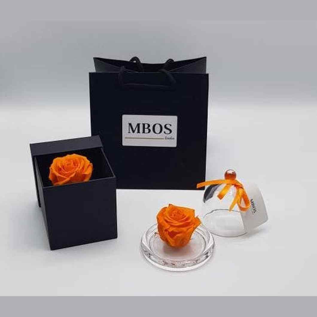 MBOS London Everlasting Orange Rose Presented In a Black Gift Box