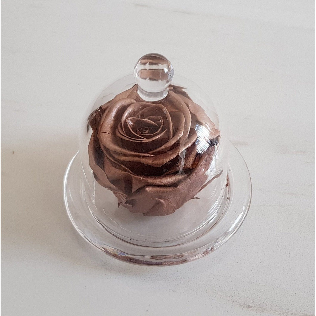 MBOS London Copper Preserved Rose Presented in a Glass Dome