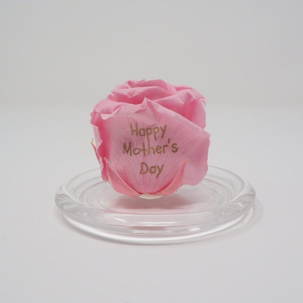 MBOS London Baby Pink Preserved Rose Printed With 'Happy Mothers Day' In a Glass Dome