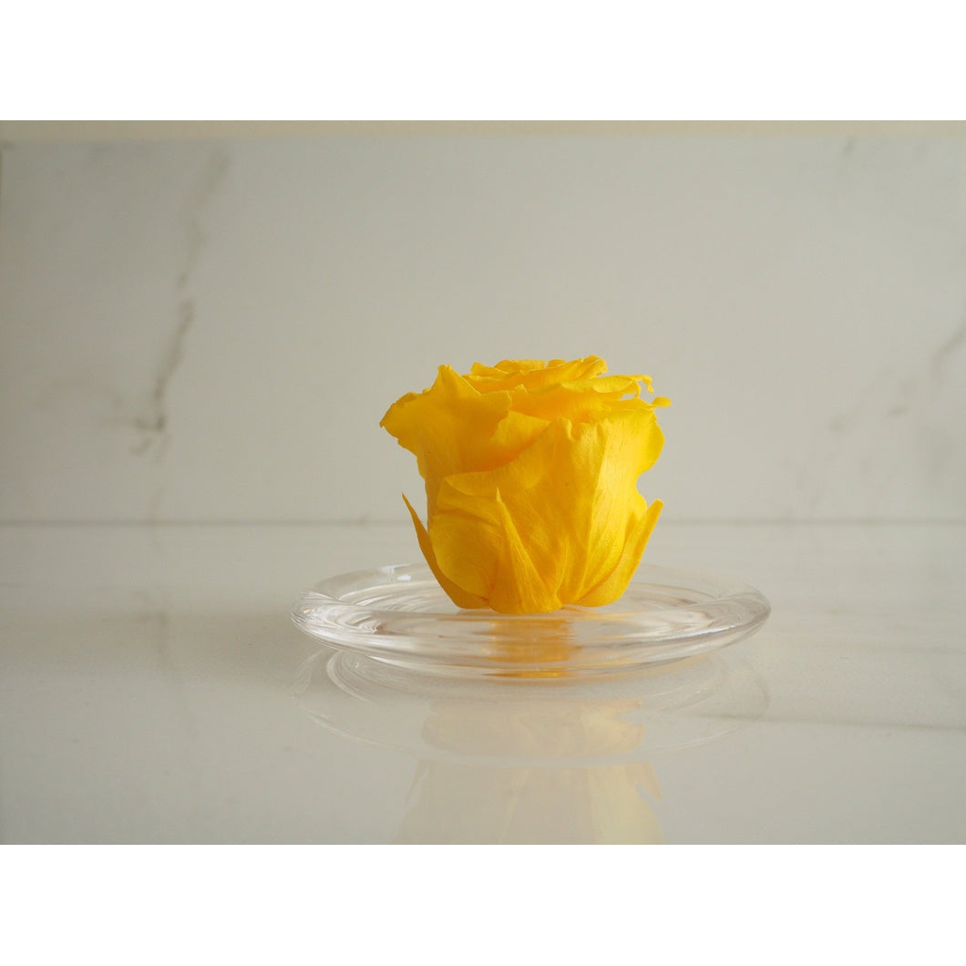 MBOS London Yellow Preserved Rose Presented in a Glass Dome