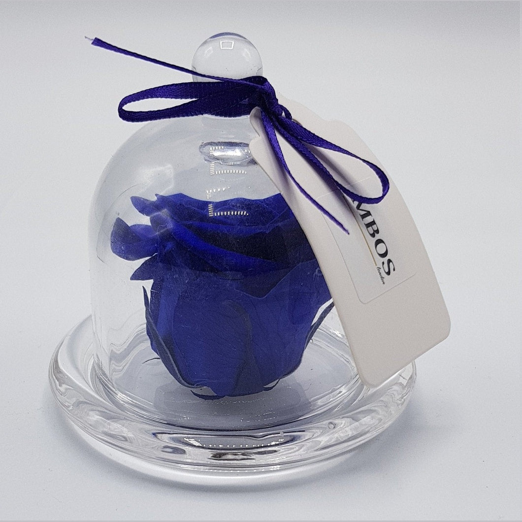 MBOS London Indigo Blue Preserved Rose Presented in a Glass Dome