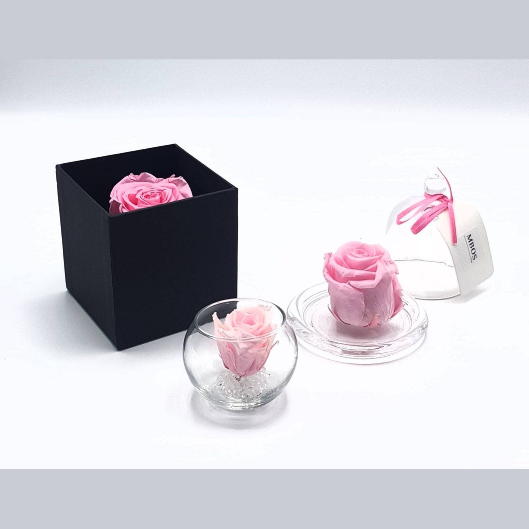 MBOS London Everlasting Pink Rose Presented In a Black Gift Box