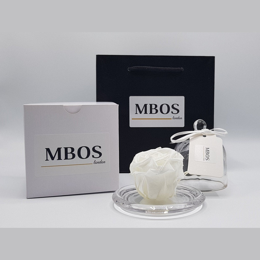 MBOS London White Preserved Rose presented in a Glass Dome