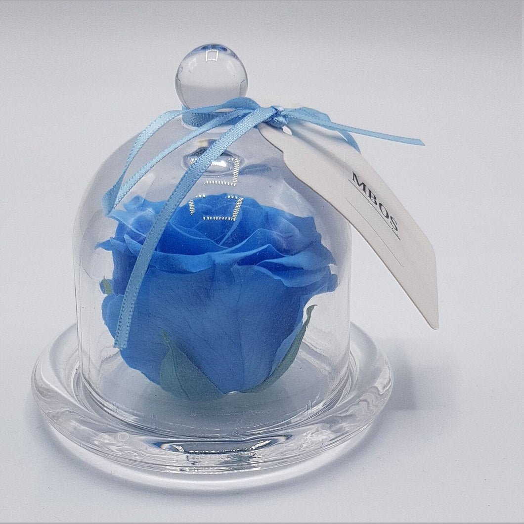 MBOS London Sky Blue Preserved Rose Presented in a Glass Dome