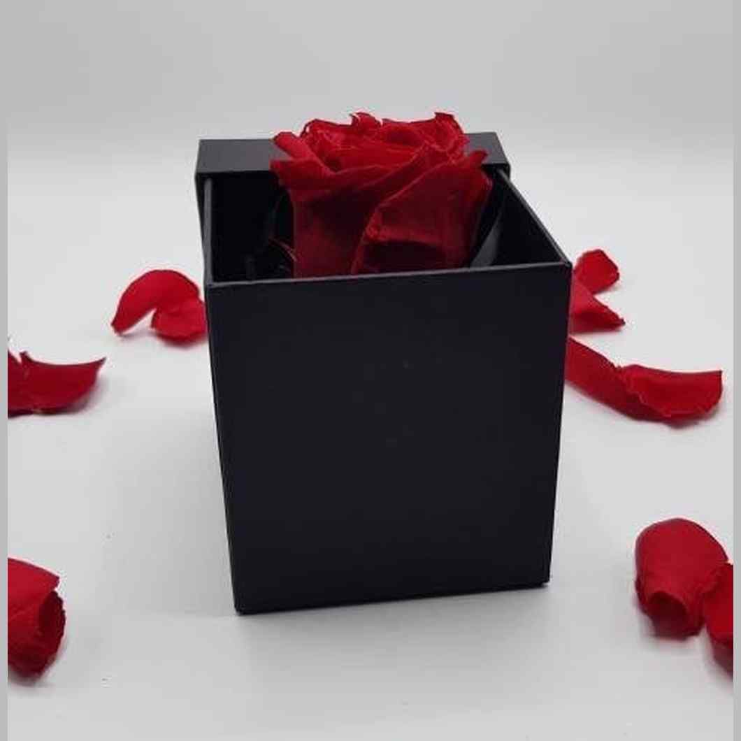 MBOS London Everlasting Red Rose Presented In a Black Gift Box