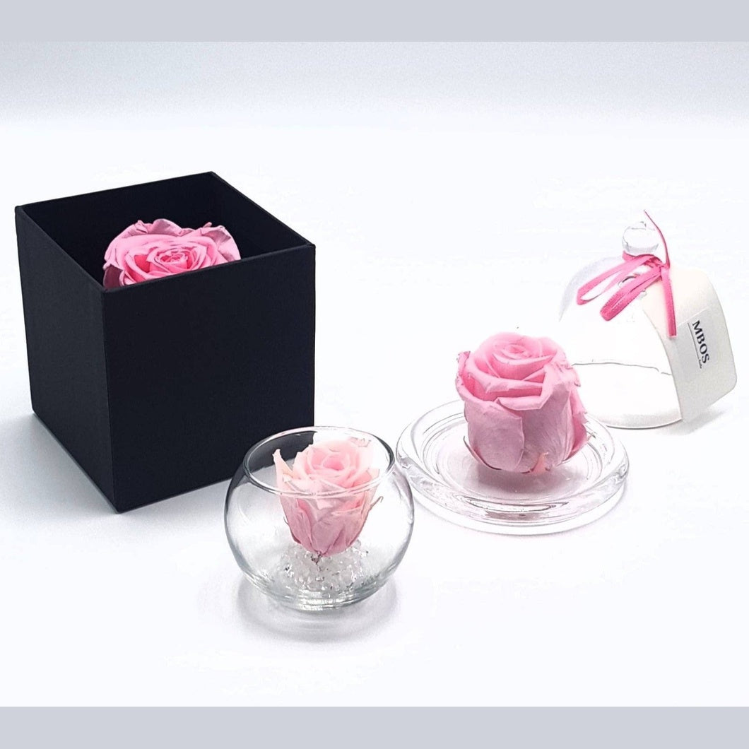 MBOS London Mini Preserved Rose In a Glass Tealight Holder - Various Colours