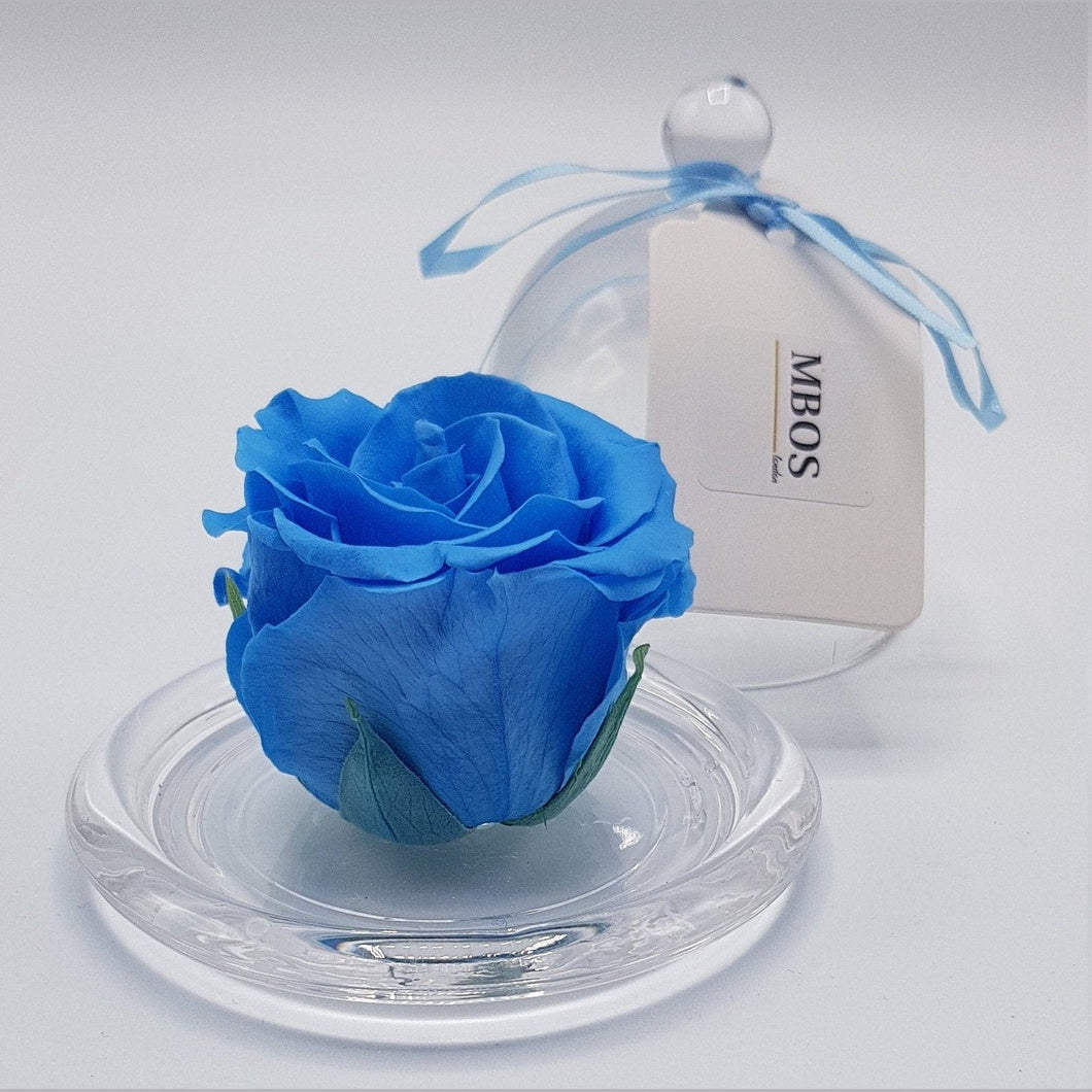 MBOS London Sky Blue Preserved Rose Presented in a Glass Dome