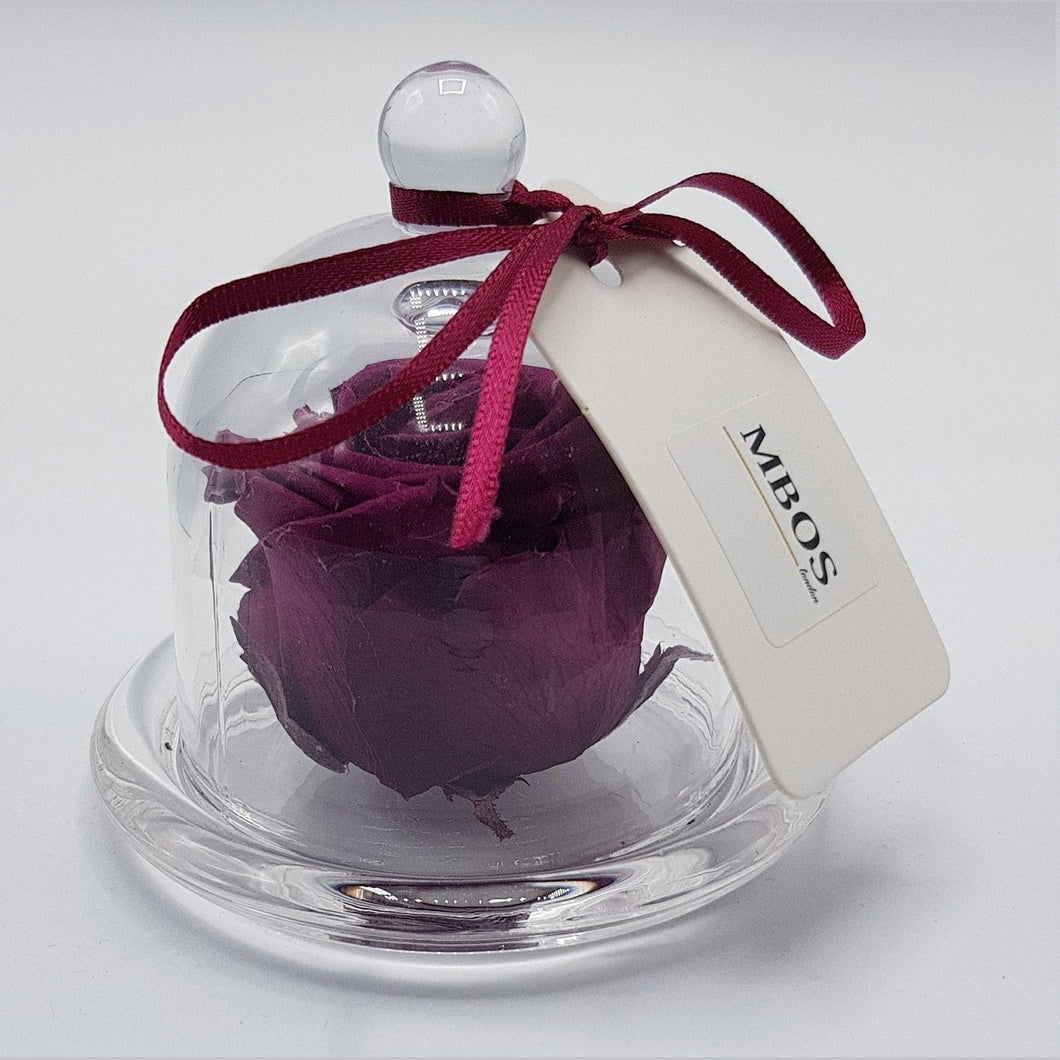 MBOS London Purple Preserved Rose Presented in a Glass Dome