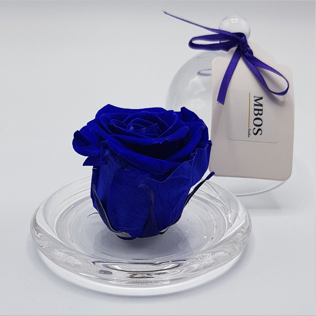 MBOS London Indigo Blue Preserved Rose Presented in a Glass Dome