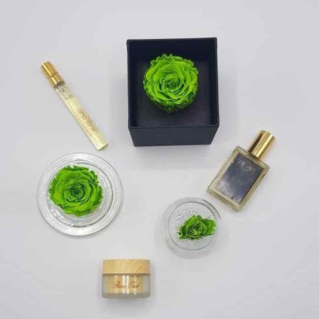 MBOS London Preserved Rose in Green Presented In a Black Gift Box