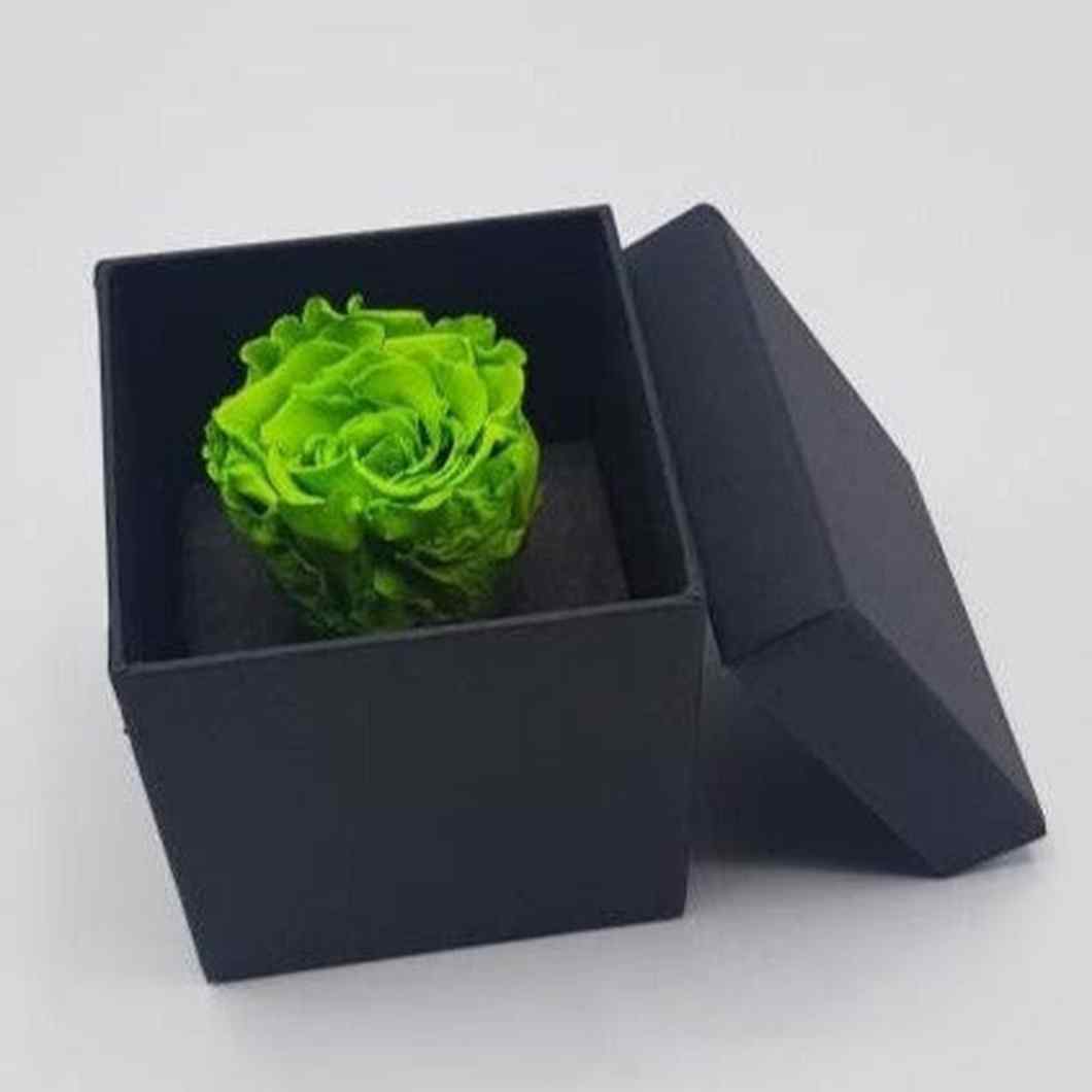 MBOS London Preserved Rose in Green Presented In a Black Gift Box