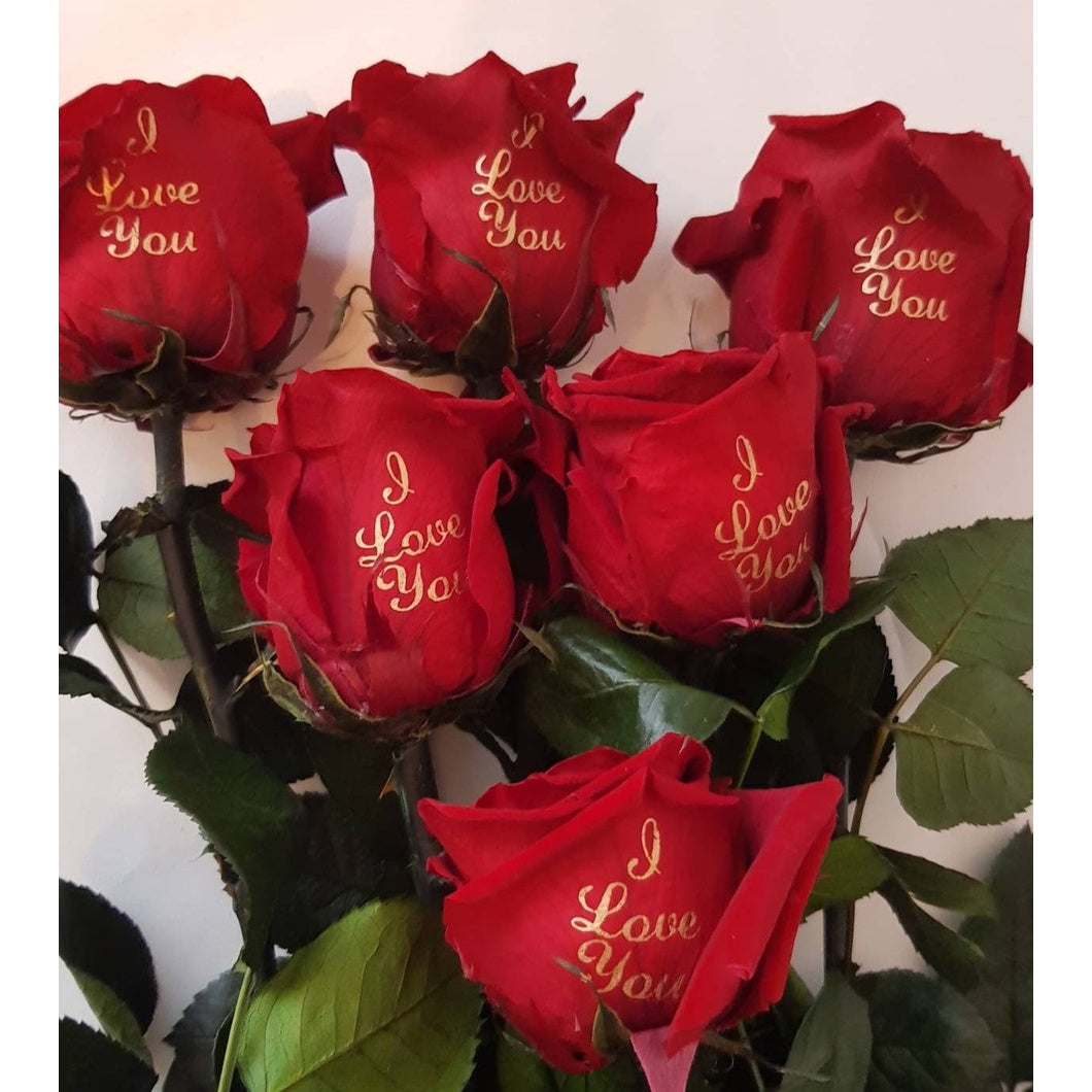 MBOS London 9 Red Preserved Roses Printed With 'I Love You' Gift