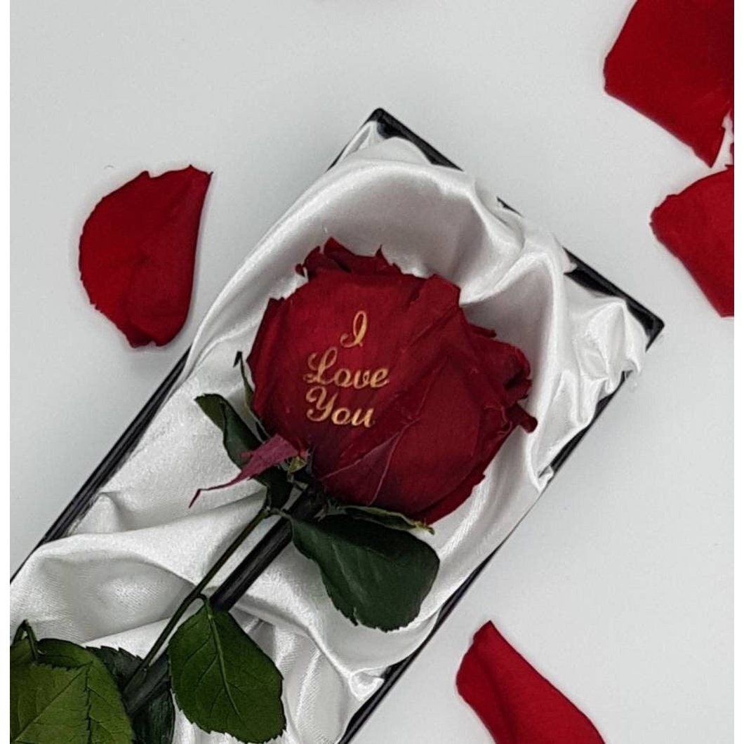 MBOS London Rose Gift set - Single Stem Preserved Red Rose and Perfume Gift Set