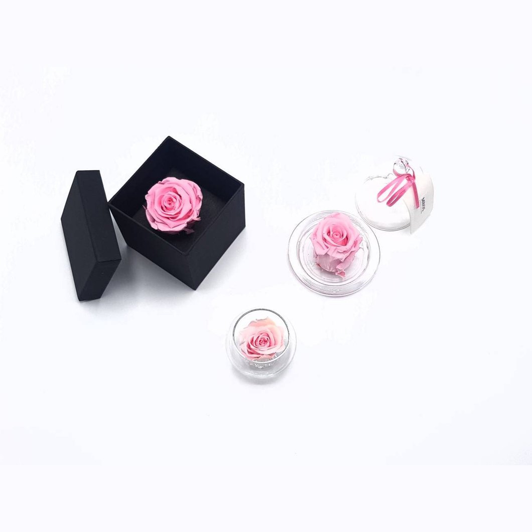 MBOS London Everlasting Pink Rose Presented In a Black Gift Box