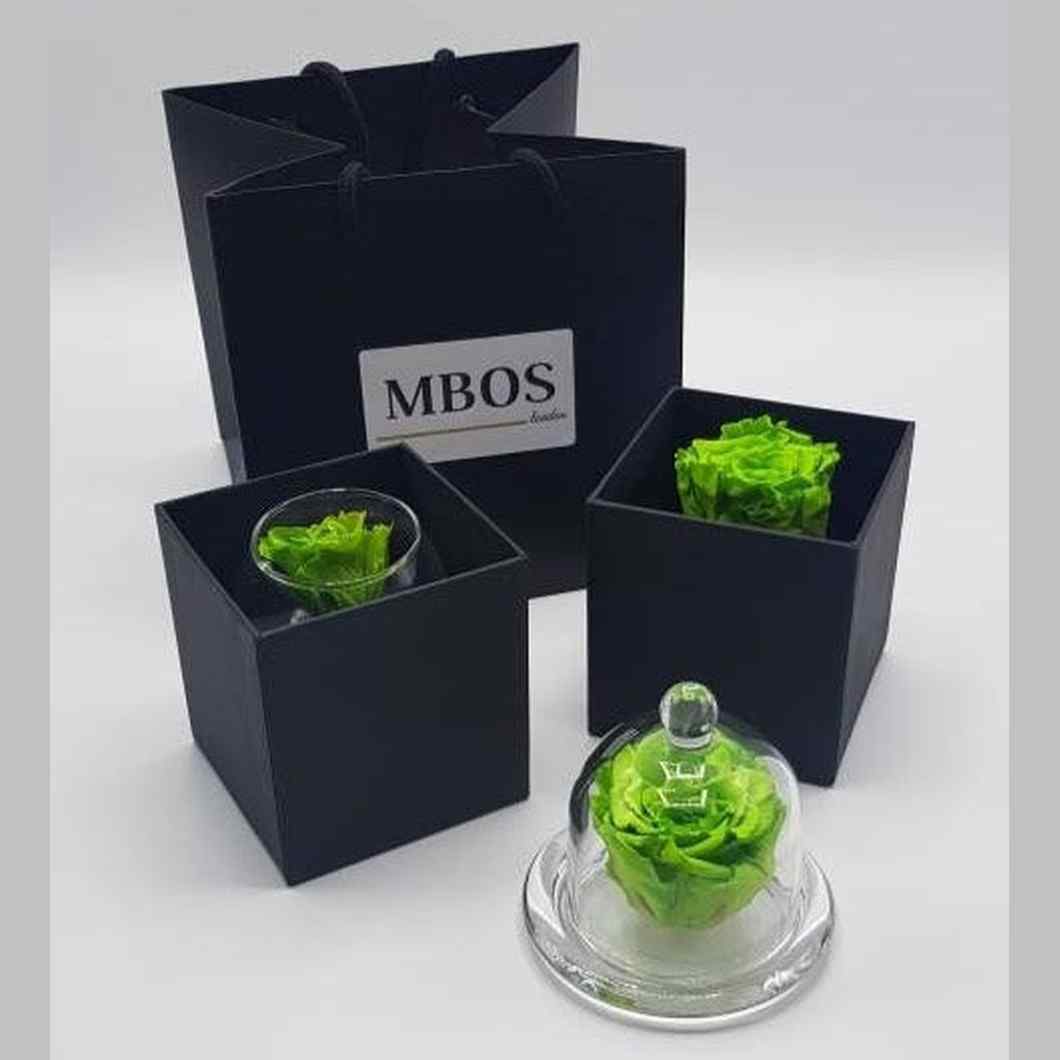 MBOS London Preserved Rose in Green Presented In a Black Gift Box