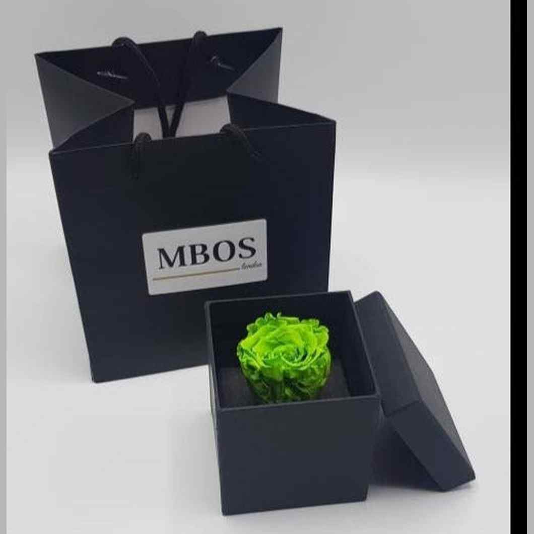 MBOS London Preserved Rose in Green Presented In a Black Gift Box