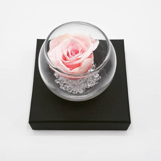 MBOS London Mini Preserved Rose In a Glass Tealight Holder - Various Colours