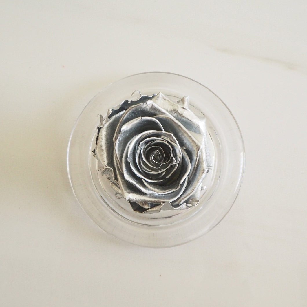 MBOS London Silver Preserved Rose Presented in a Glass Dome