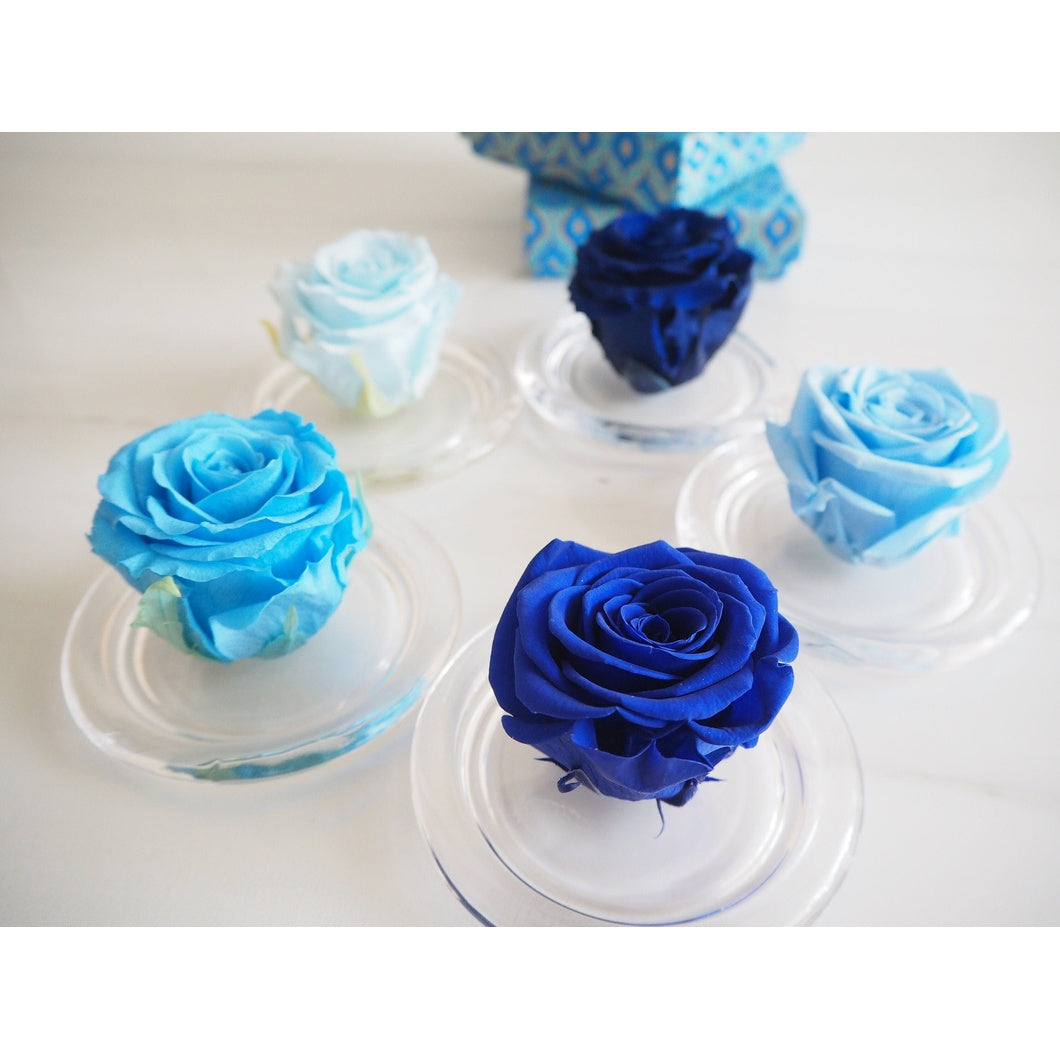 MBOS London Baby Blue Preserved Rose Presented in a Glass Dome