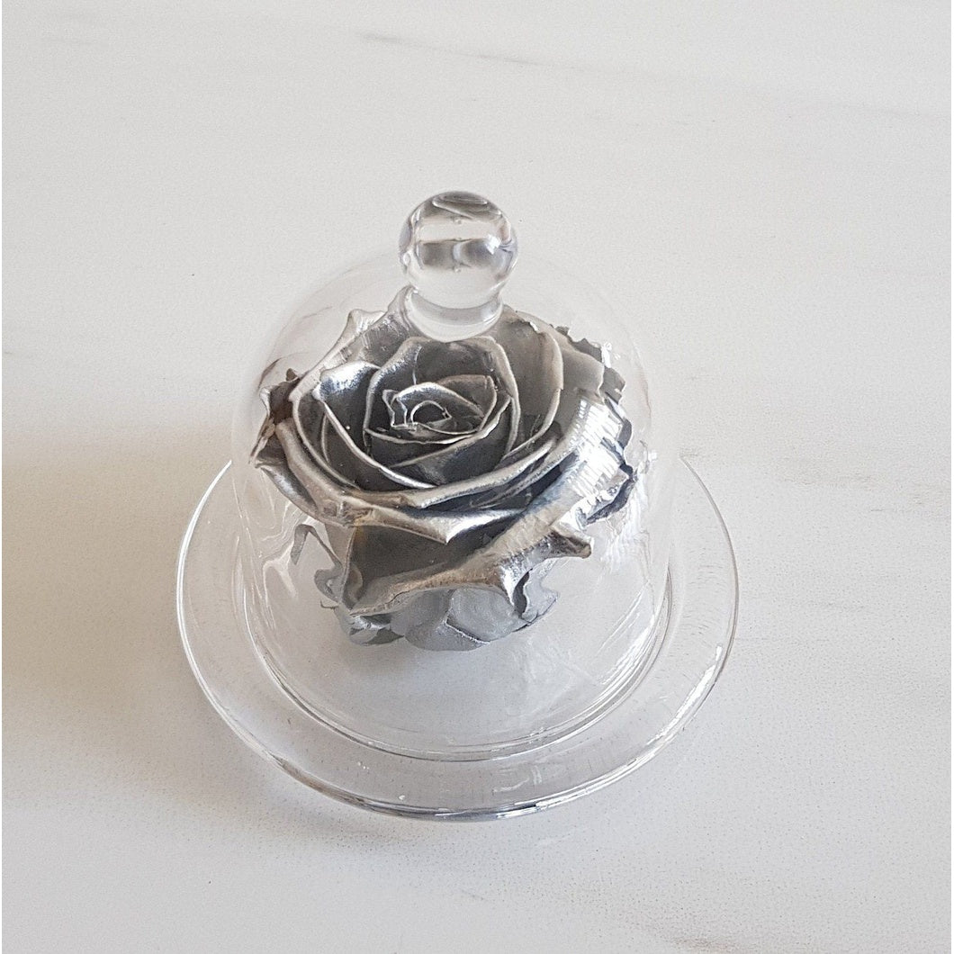 MBOS London Silver Preserved Rose Presented in a Glass Dome