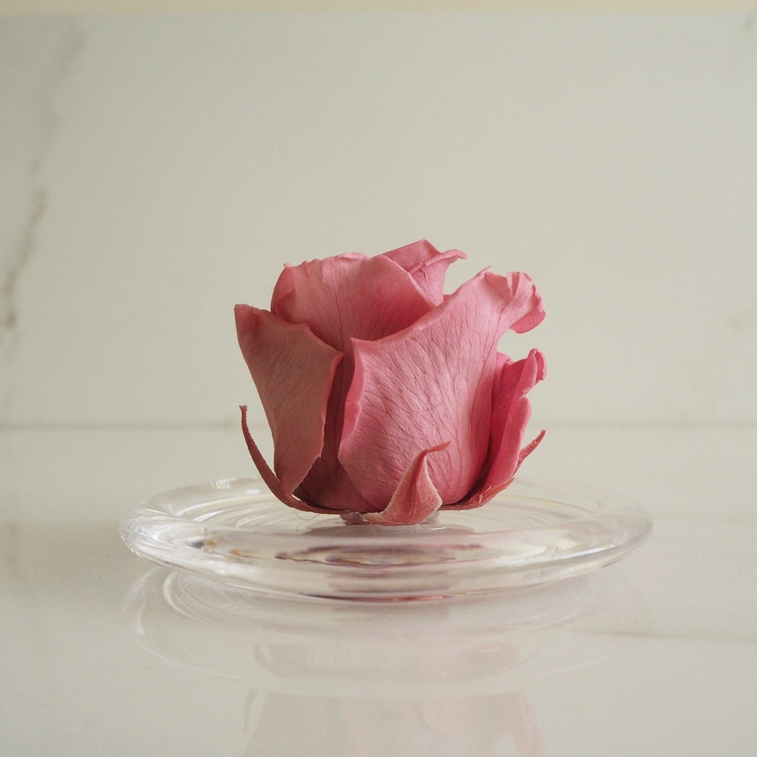 MBOS London Blush Pink Preserved Rose in a Glass Dome