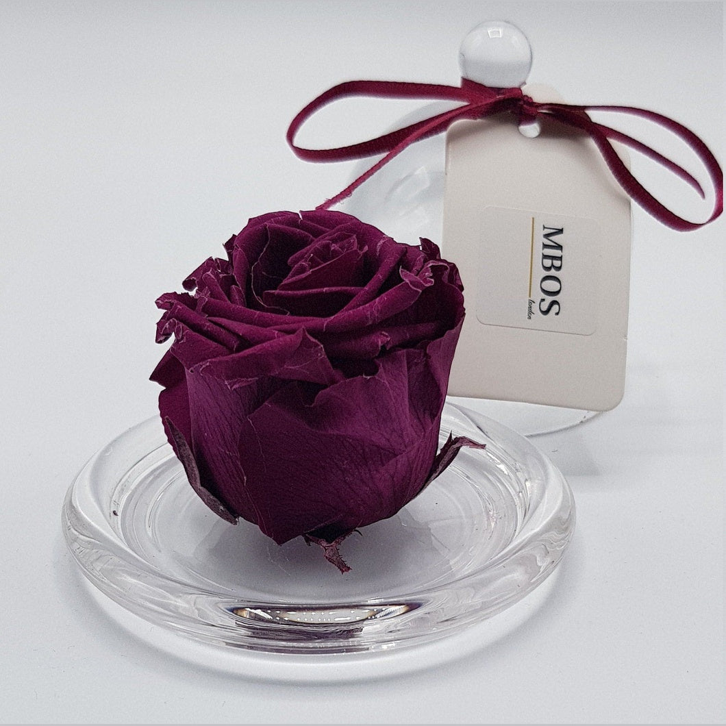 MBOS London Purple Preserved Rose Presented in a Glass Dome