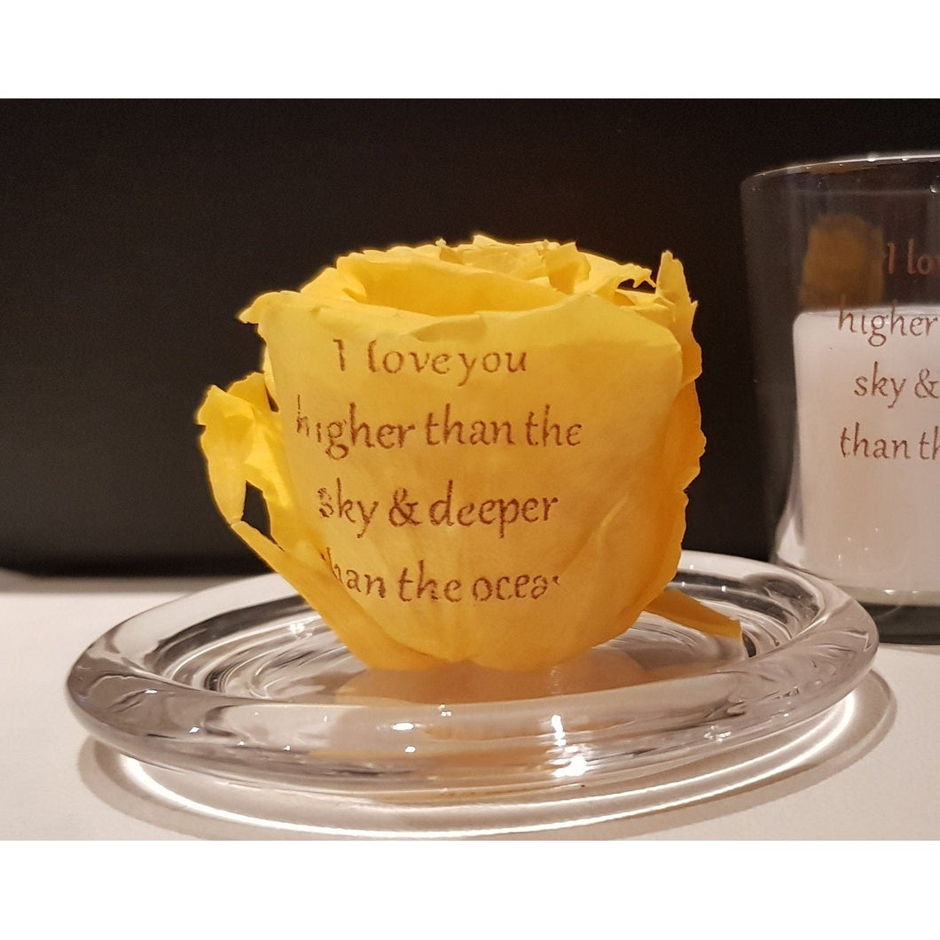 MBOS London I love You Higher Quote Printed Yellow Rose In a Glass Dome