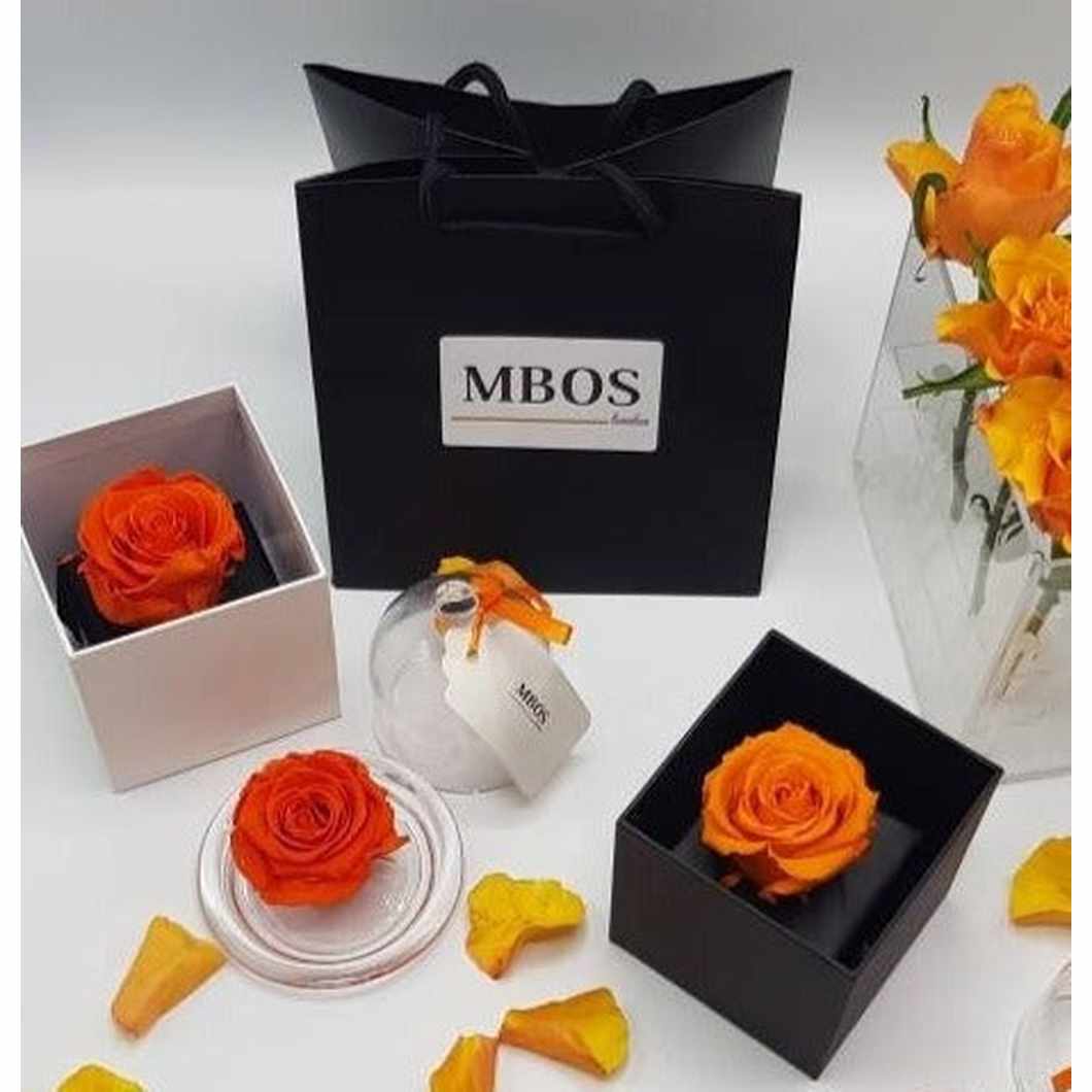 MBOS London Dark Orange Preserved Rose Presented In a Glass Dome