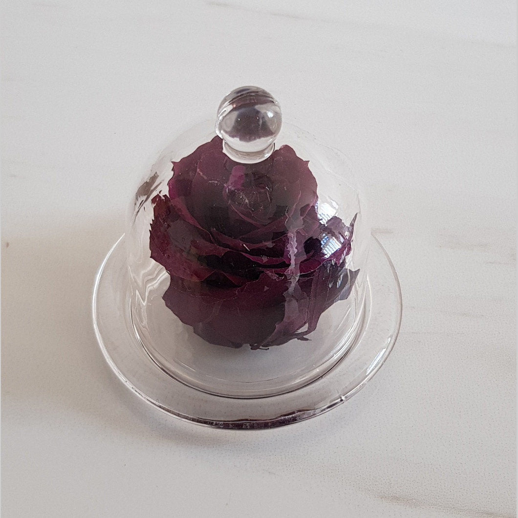 MBOS London Purple Preserved Rose Presented in a Glass Dome